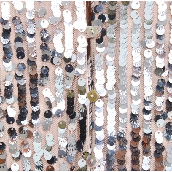 RARE! ZARA Silver Sequin Shirt Dress - Picture 5 of 8